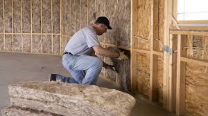 Best Attic Insulation Installation  in Woodcreek, TX