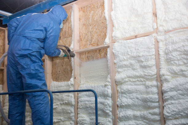 Best Batt and Roll Insulation  in Woodcreek, TX